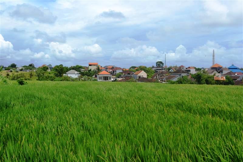 tanah dijual di Canggu Bali