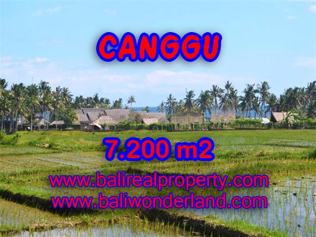 Tanah di Canggu dijual 72 Are di Canggu pererenan Bali