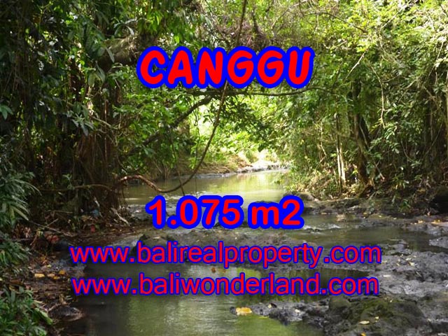 Jual tanah di Bali 1.075 m2 View sawah di Canggu Pererenan