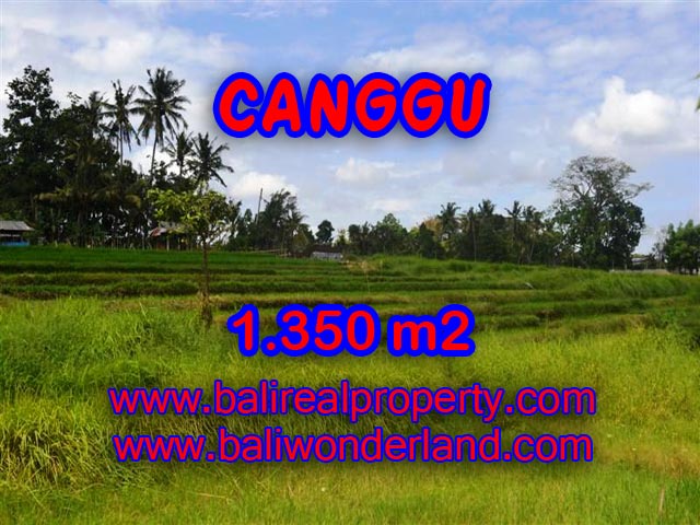 Tanah dijual di Bali 1.350 m2 view sawah,sungai di Canggu Pererenan