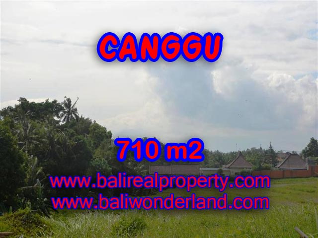 Jual tanah di Canggu Bali 710 m2 view sawah dan sungai di Canggu Brawa