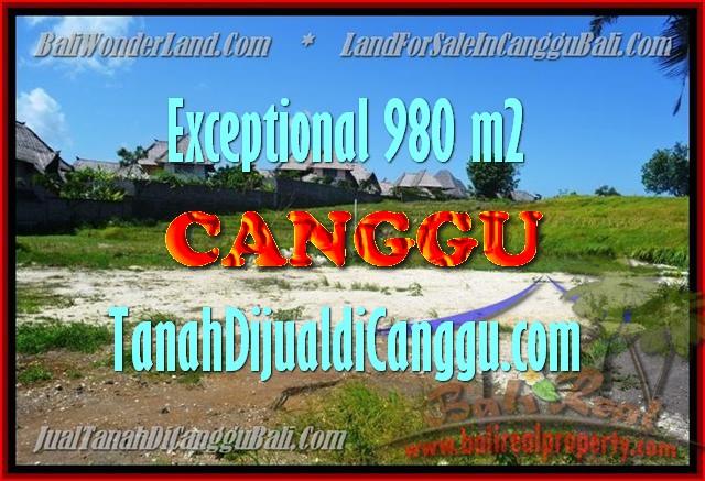 JUAL MURAH TANAH di CANGGU BALI 980 m2 View Sawah, Sungai dan laut