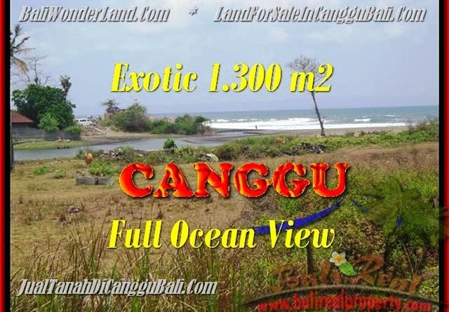 JUAL TANAH di CANGGU 1.300 m2 View sawah dan laut lingkungan villa