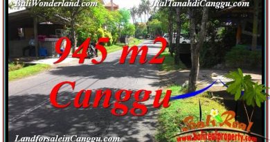 TANAH MURAH di CANGGU JUAL 9.45 Are Lingkungan Villa