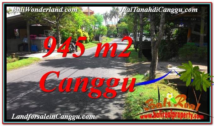 TANAH MURAH di CANGGU JUAL 9.45 Are Lingkungan Villa